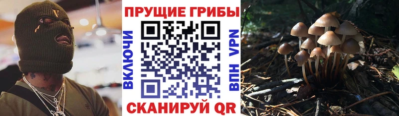 Псилоцибиновые грибы GOLDEN TEACHER  Первомайск 
